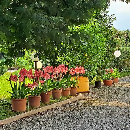 Borgo Barucchella Guest house