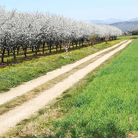 Borgo Barucchella Pensionat Sant'Andra